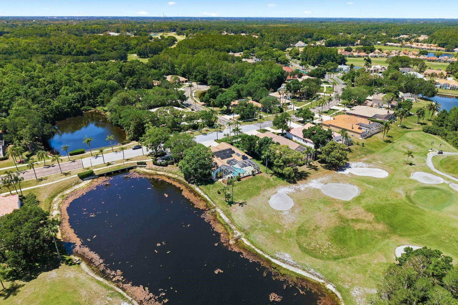 Image 75 of 79 For 3343 Crescent Oaks Boulevard