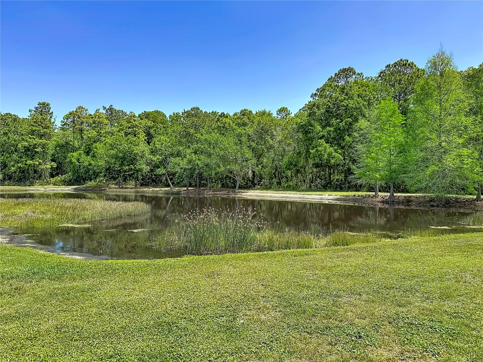 Image 3 of 86 For 12919 Framingham Court