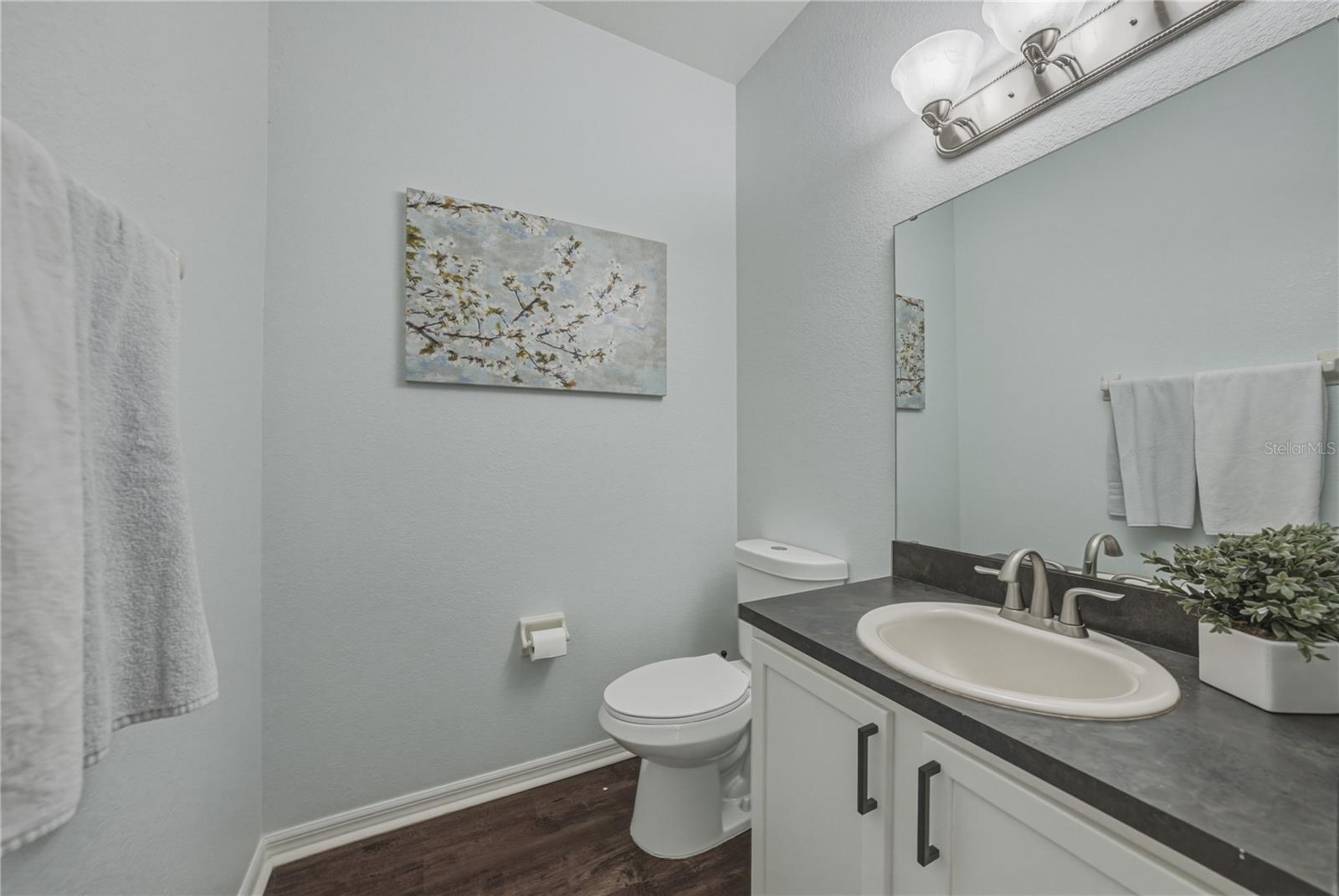 Image 31 of 88 For 3167 Blackwater Oaks Way