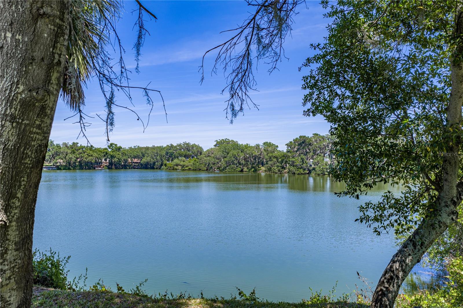 Image 73 of 88 For 3167 Blackwater Oaks Way