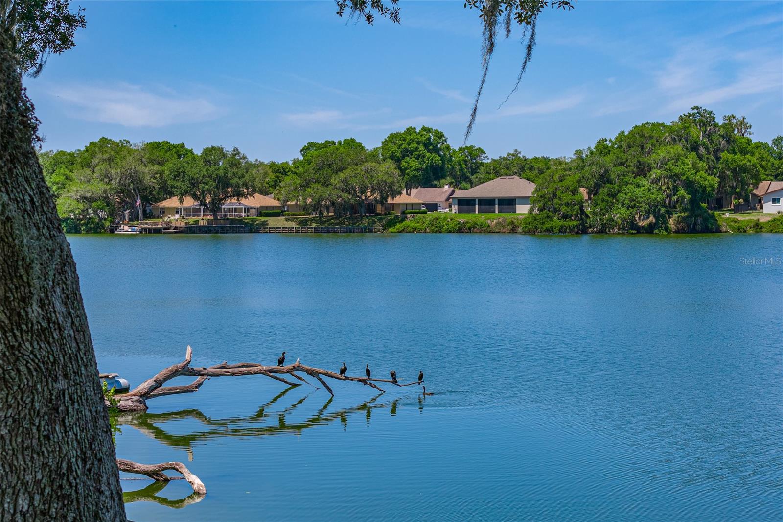 Image 74 of 88 For 3167 Blackwater Oaks Way