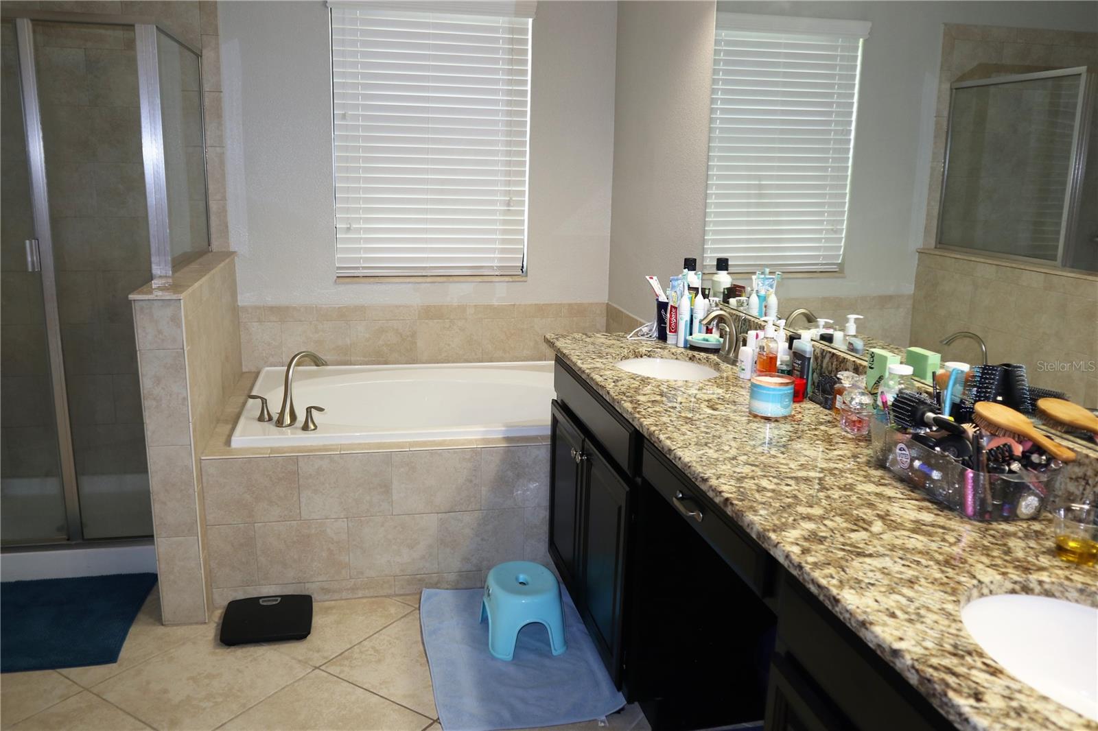 Image 12 of 22 For 12311 Ballentrae Forest Drive