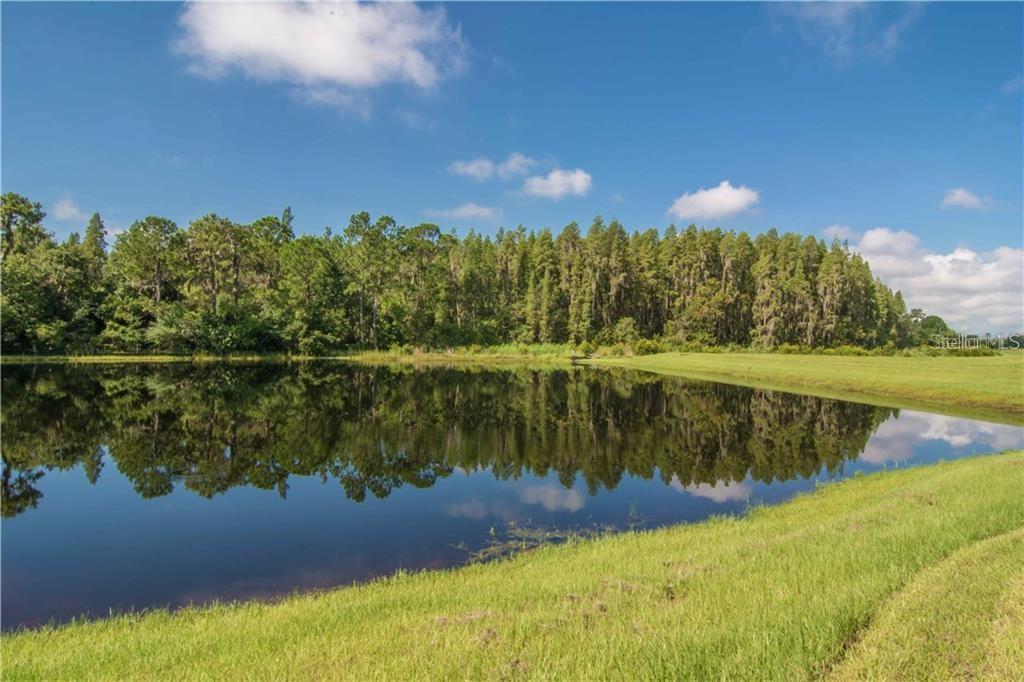 Image 19 of 22 For 12311 Ballentrae Forest Drive