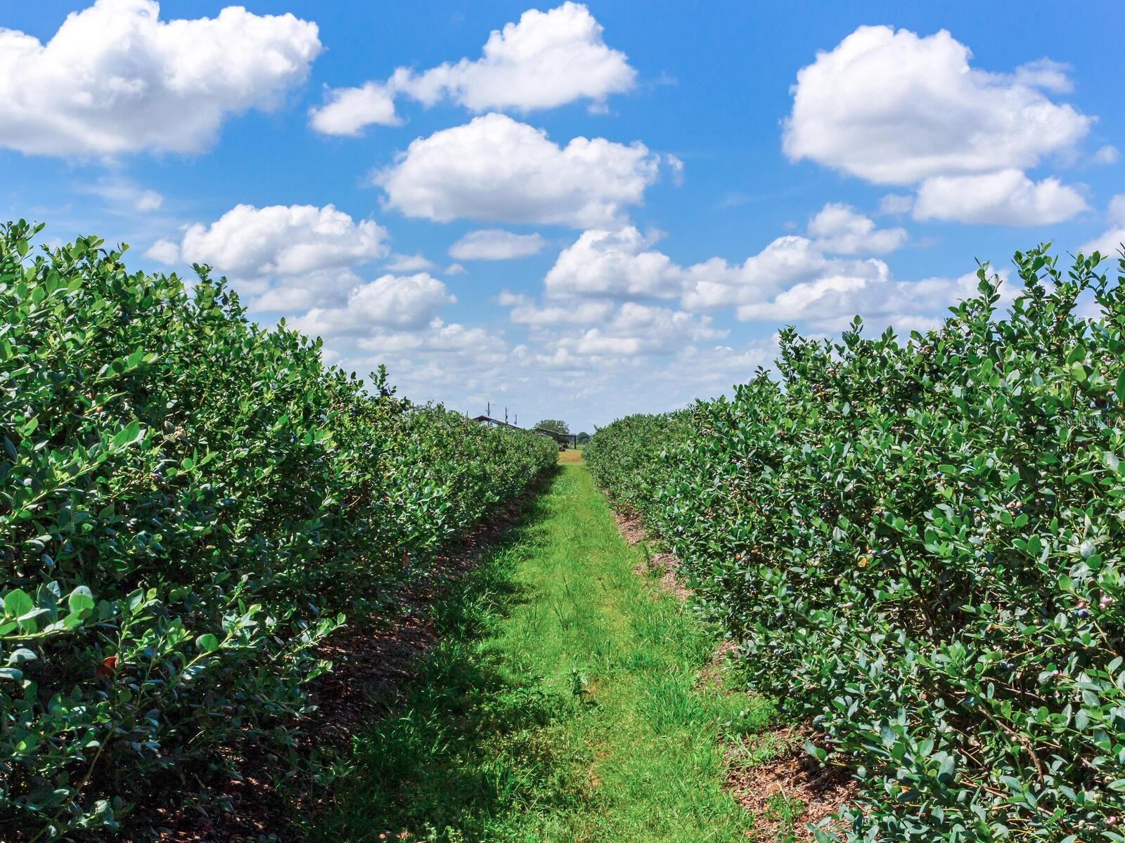 Image 10 of 76 For 3674 State Road 64