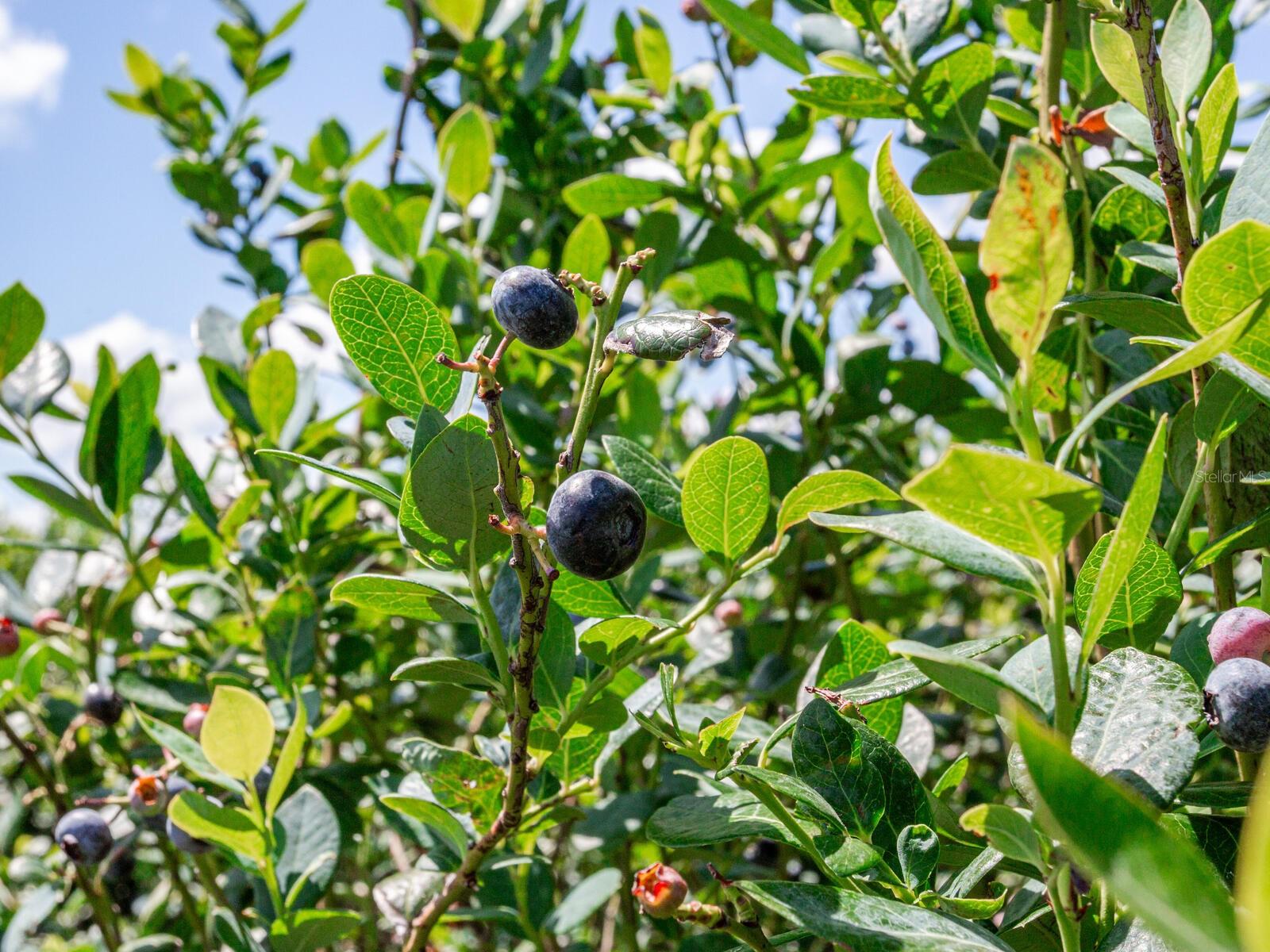 Image 11 of 76 For 3674 State Road 64