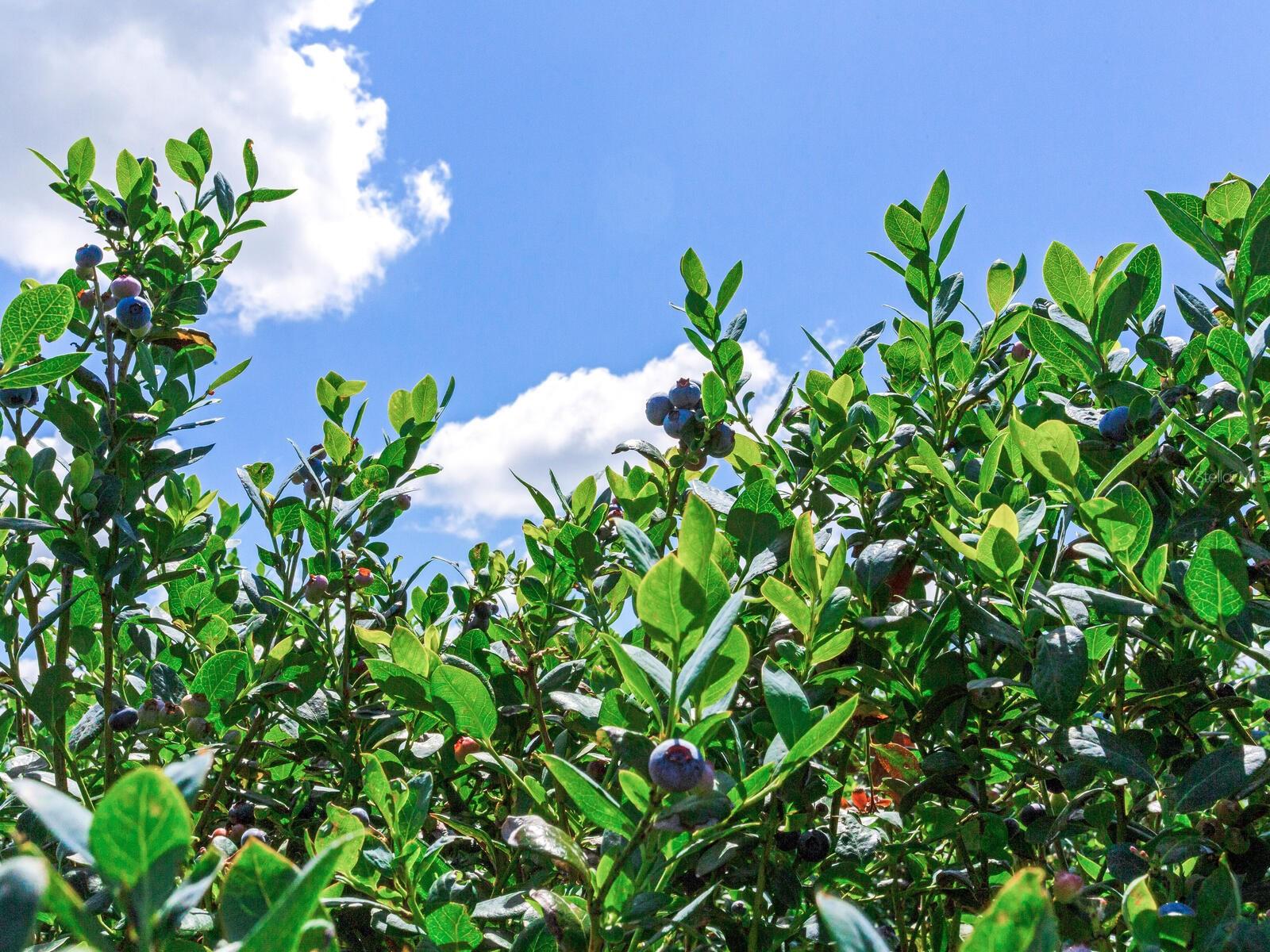 Image 12 of 76 For 3674 State Road 64