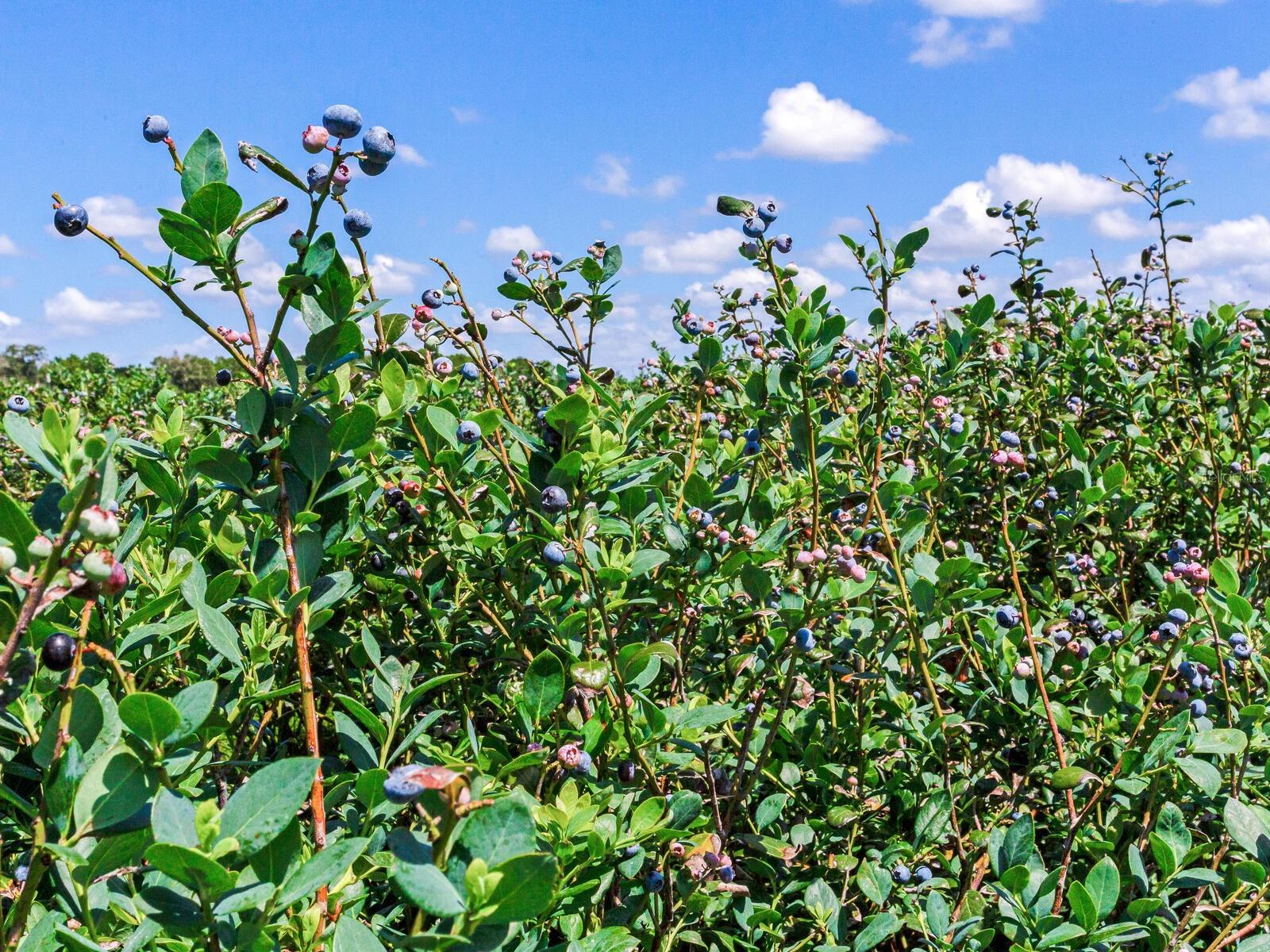 Image 14 of 76 For 3674 State Road 64