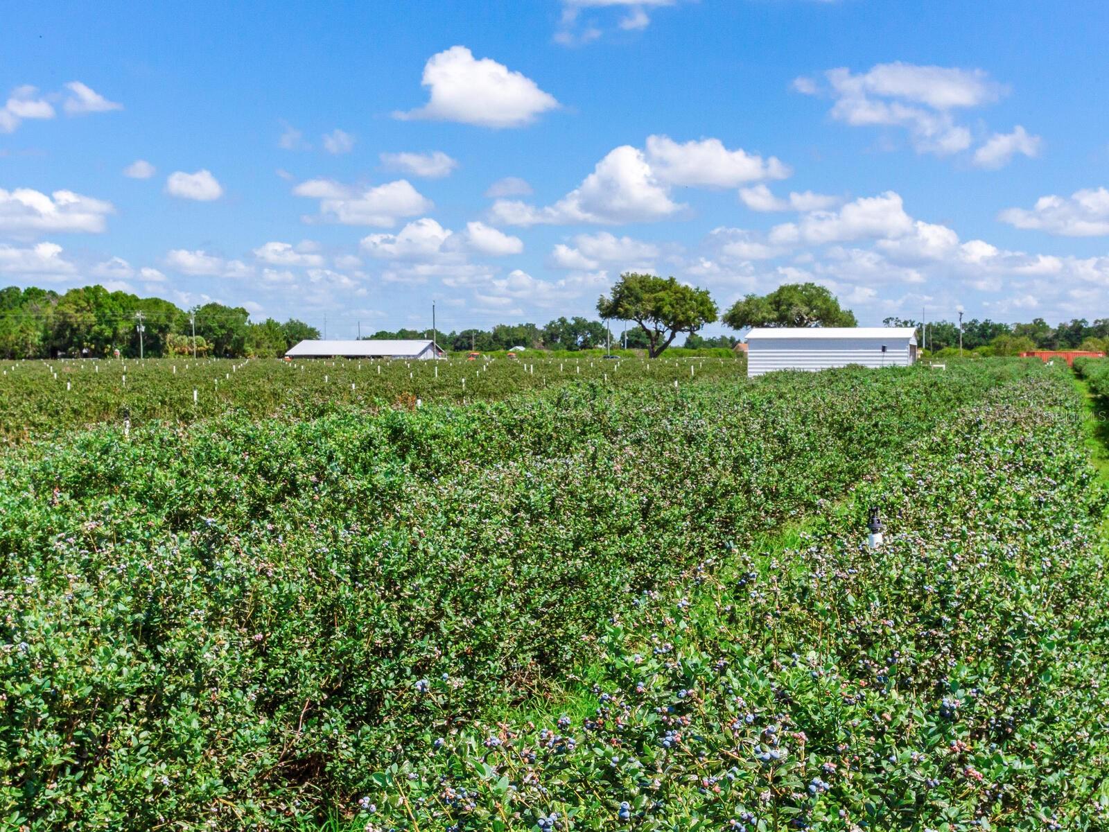 Image 15 of 76 For 3674 State Road 64