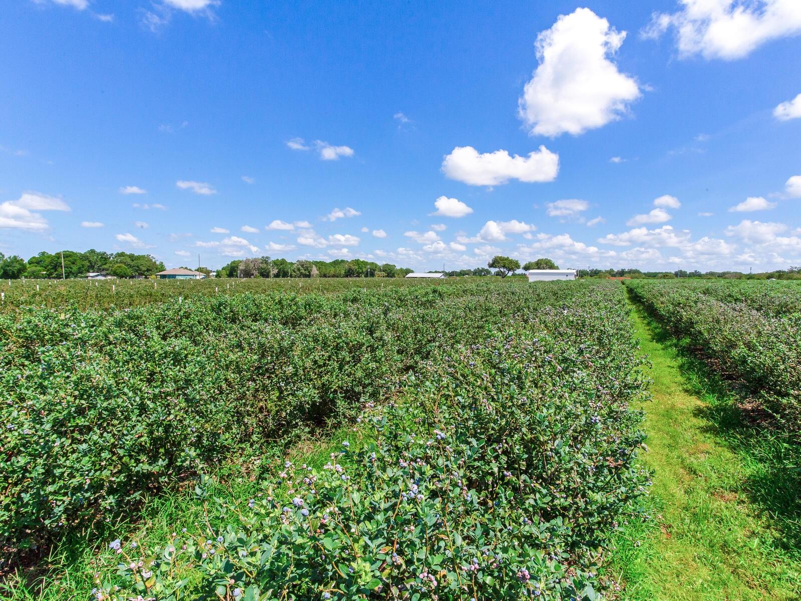 Image 16 of 76 For 3674 State Road 64