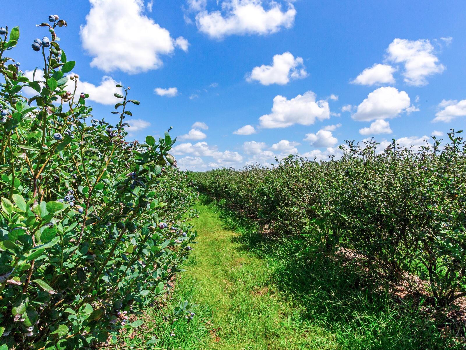 Image 17 of 76 For 3674 State Road 64