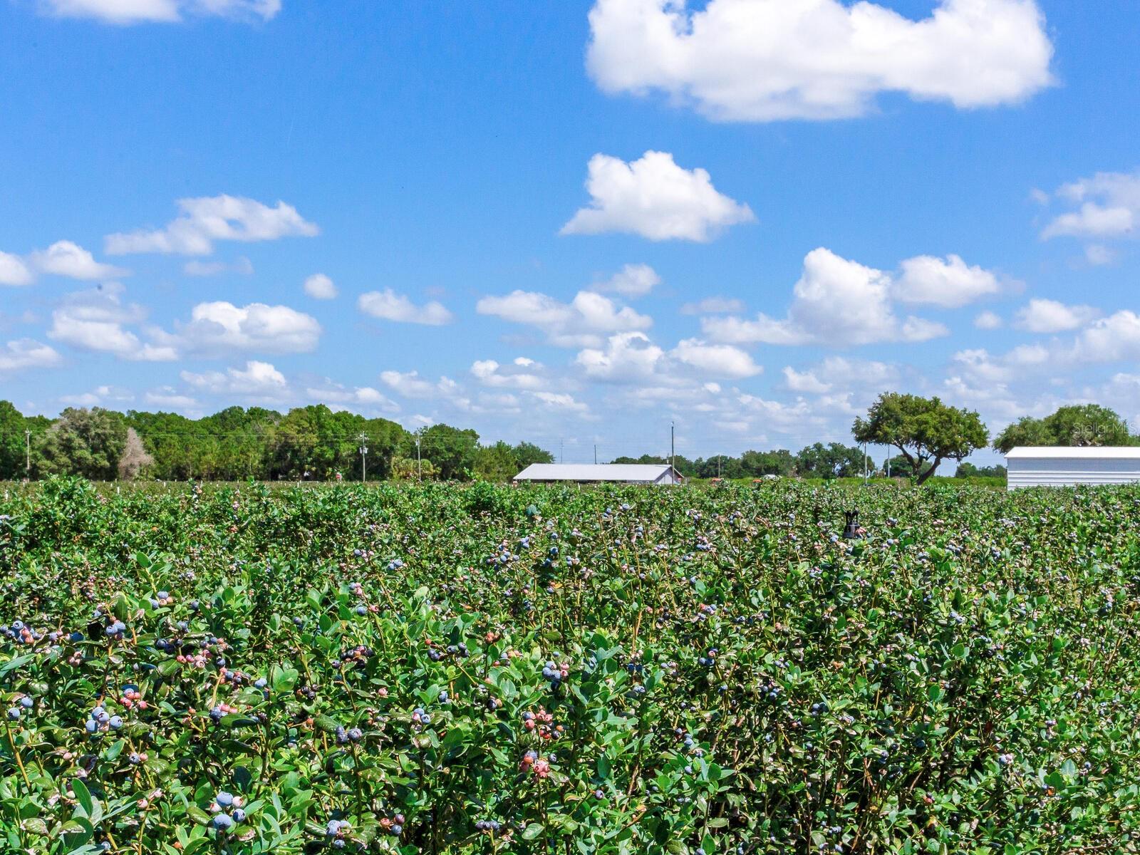 Image 18 of 76 For 3674 State Road 64