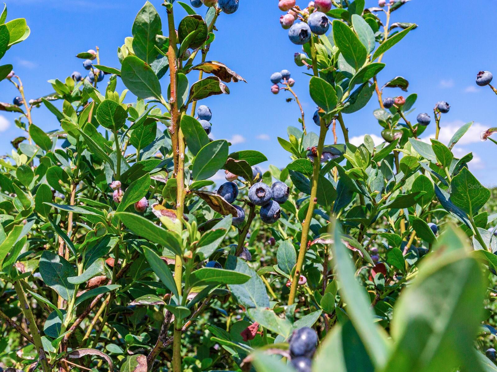 Image 19 of 76 For 3674 State Road 64