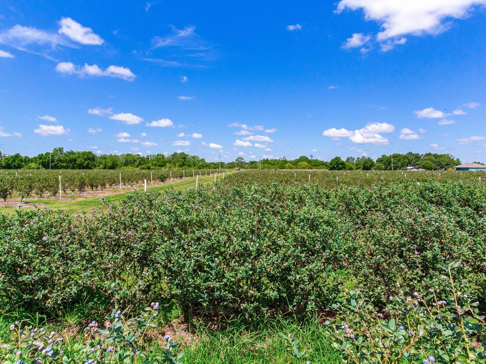 Image 20 of 76 For 3674 State Road 64