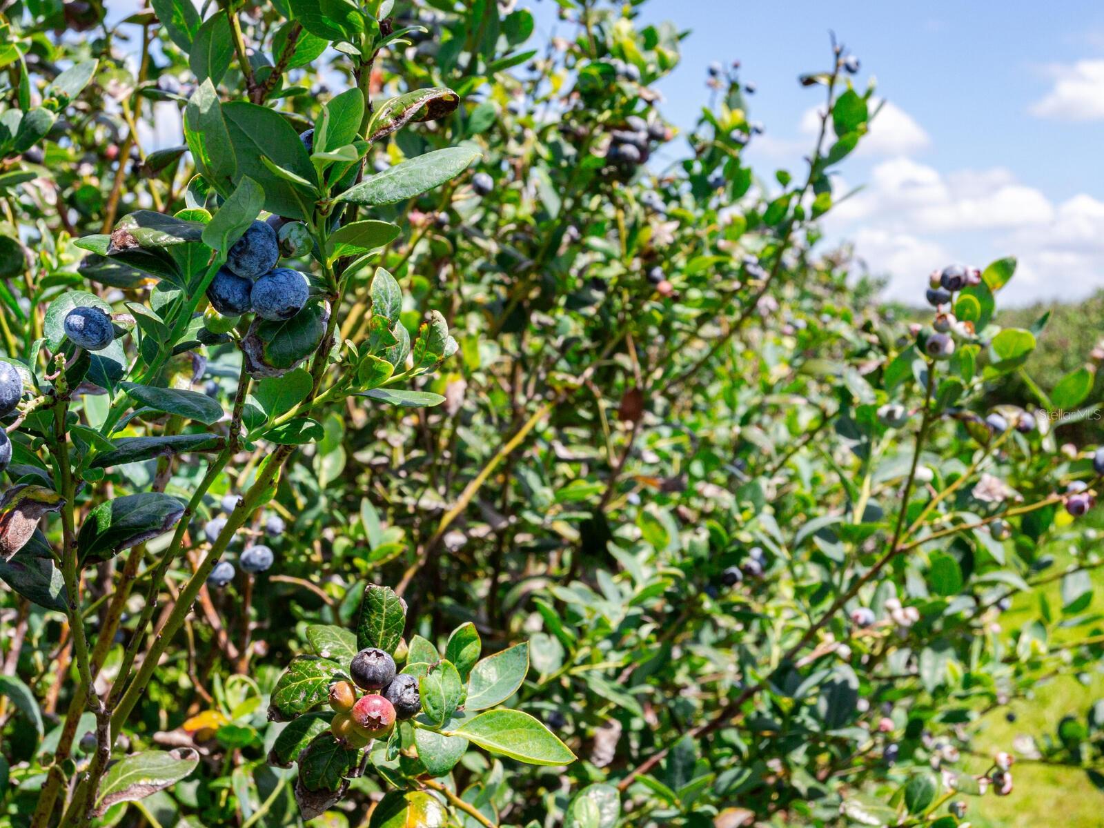 Image 21 of 76 For 3674 State Road 64