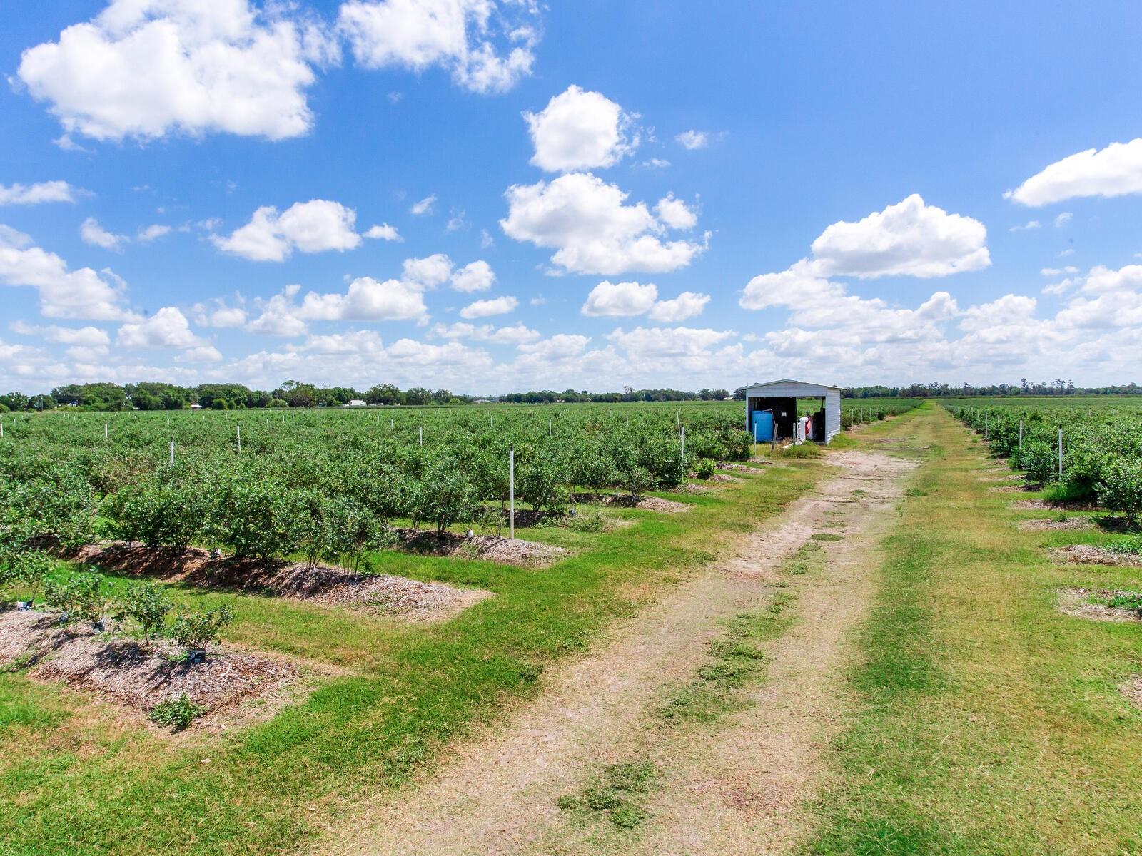 Image 24 of 76 For 3674 State Road 64