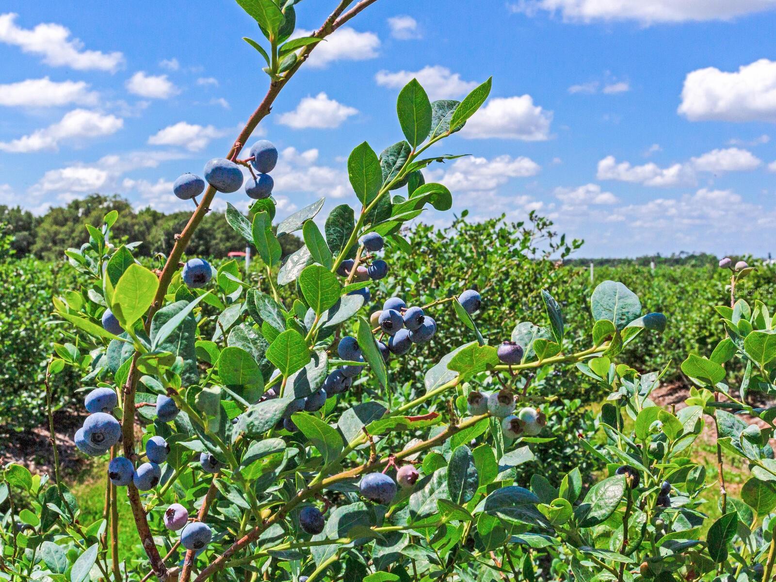 Image 25 of 76 For 3674 State Road 64