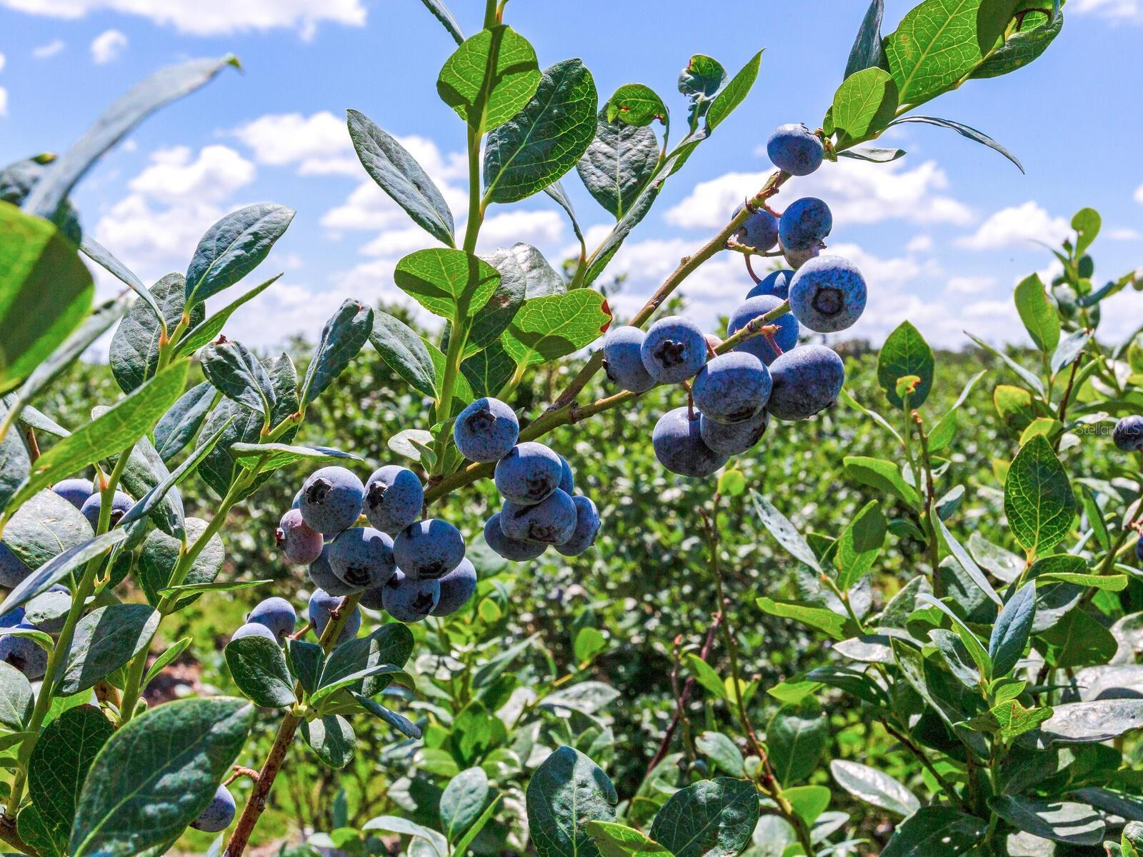 Image 26 of 76 For 3674 State Road 64