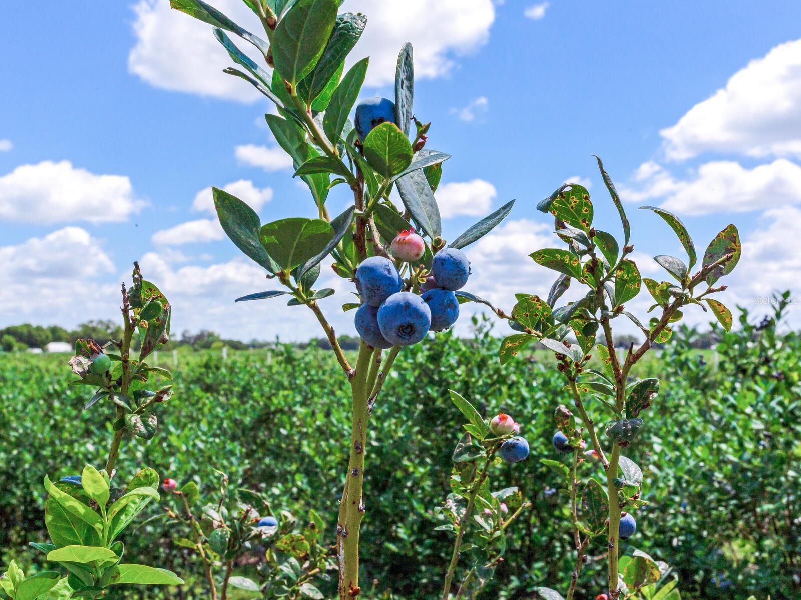 Image 29 of 76 For 3674 State Road 64