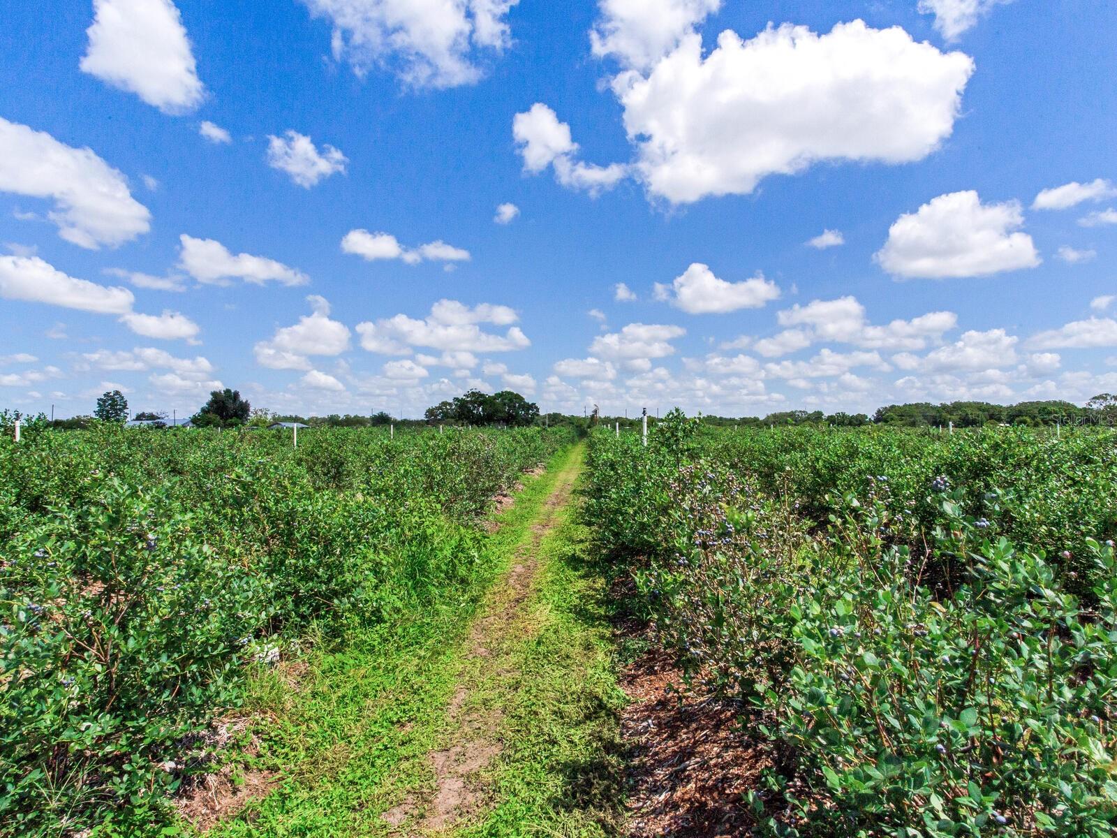 Image 30 of 76 For 3674 State Road 64