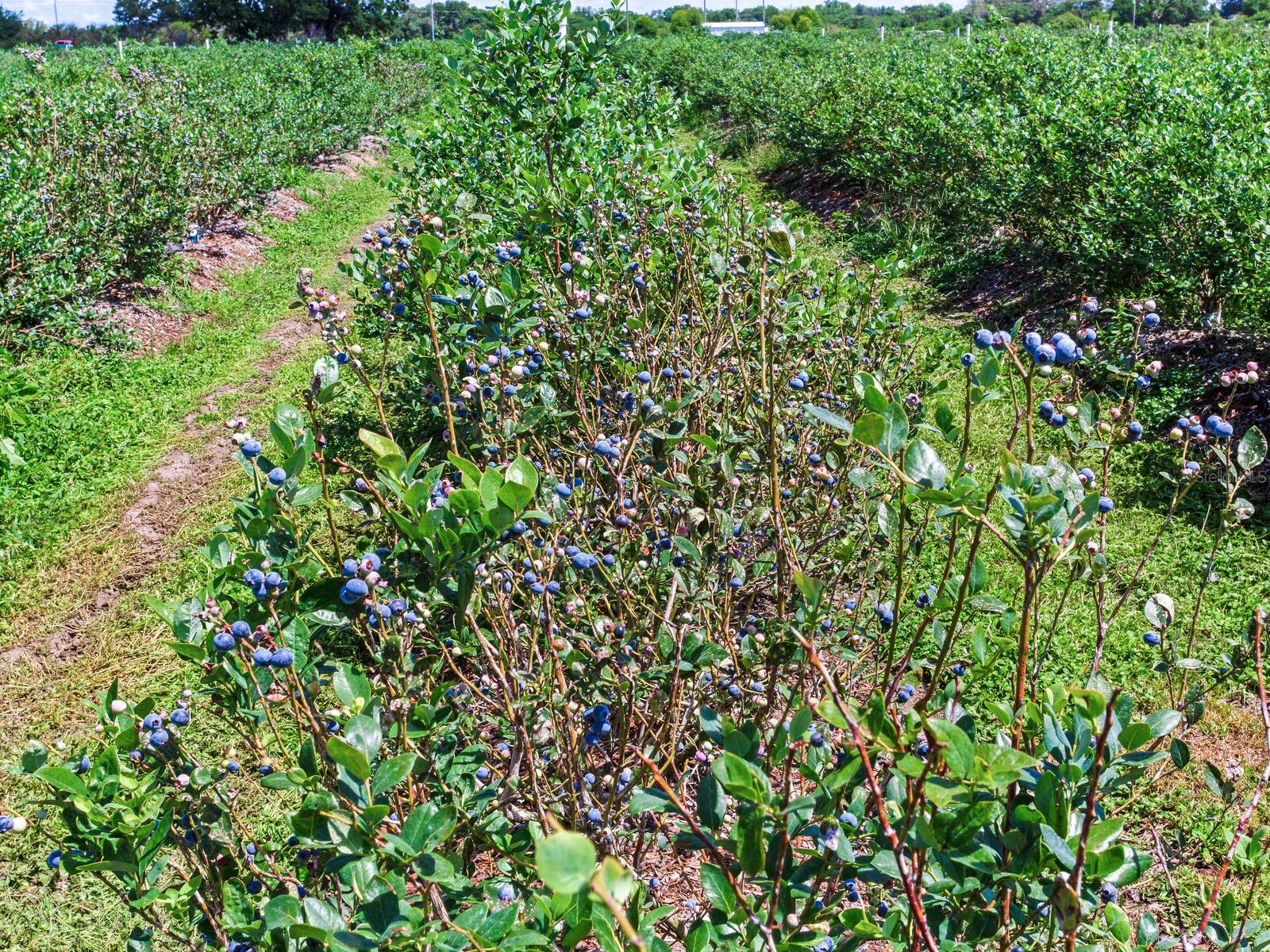 Image 31 of 76 For 3674 State Road 64