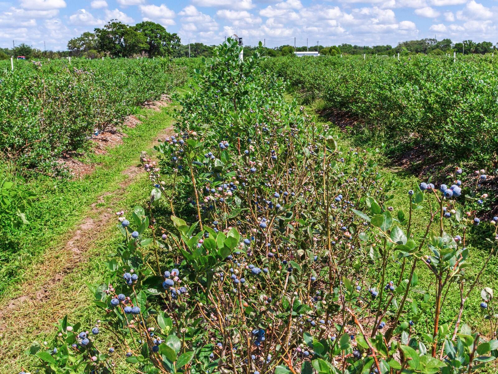 Image 32 of 76 For 3674 State Road 64