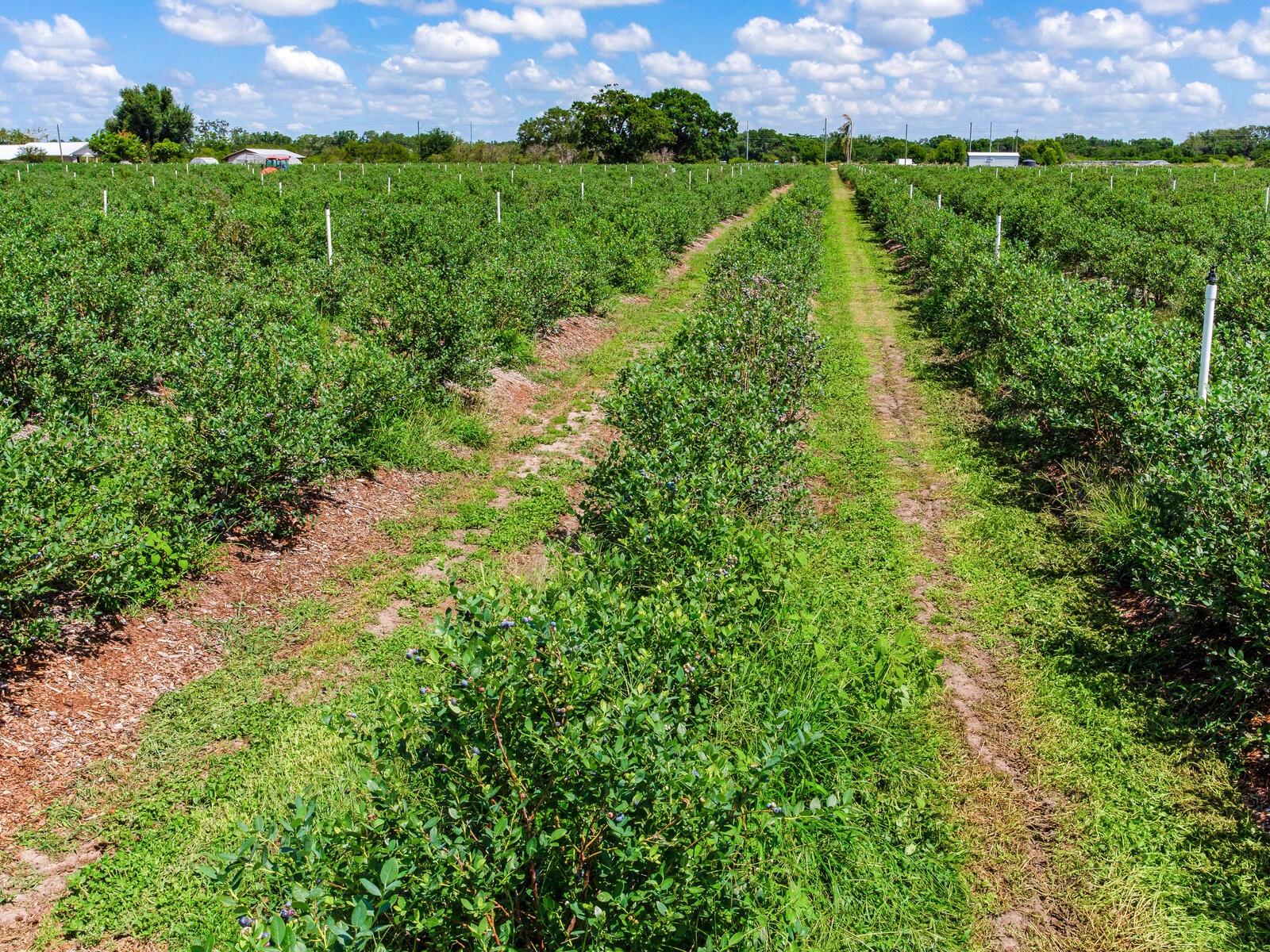 Image 34 of 76 For 3674 State Road 64