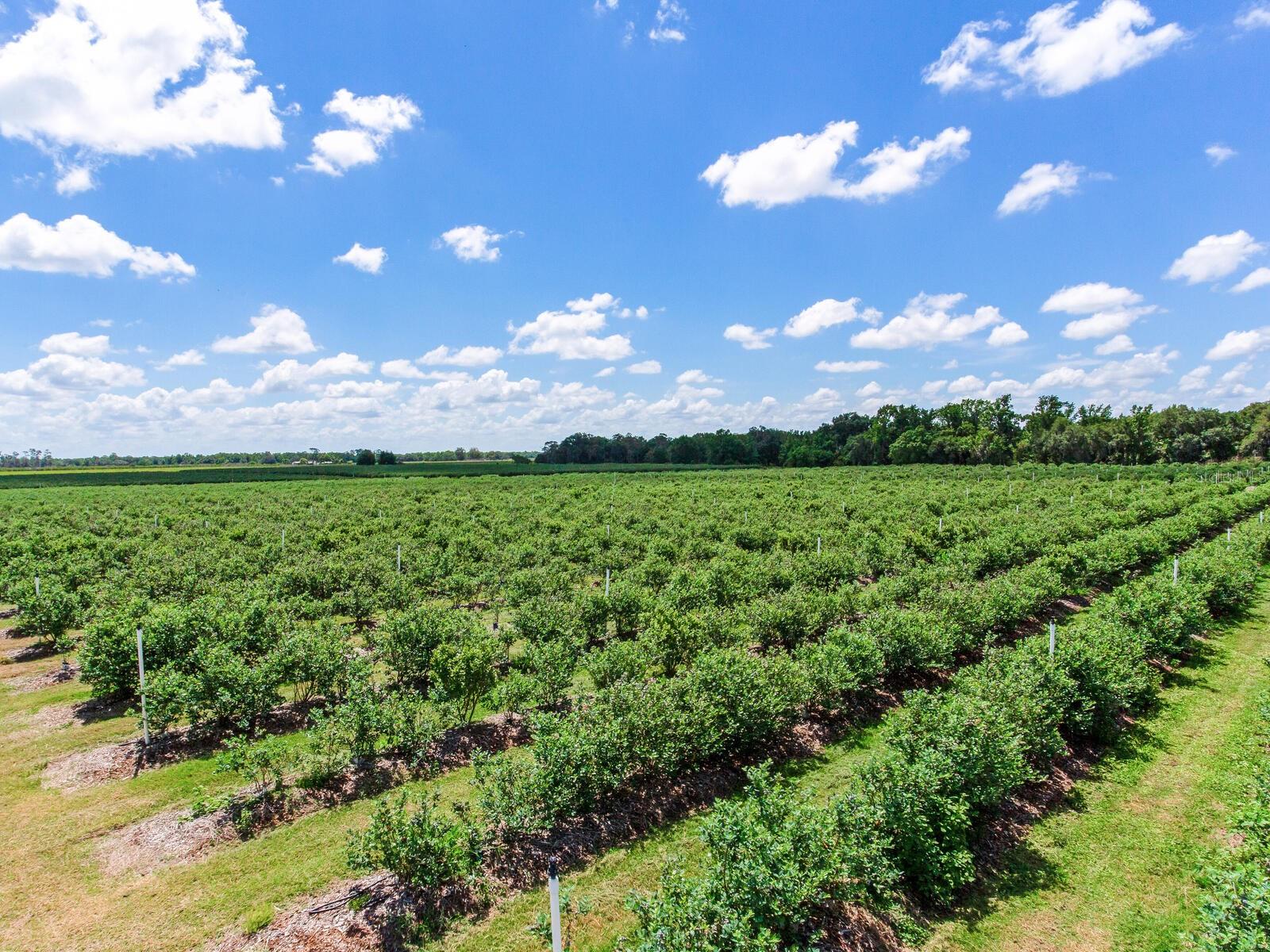 Image 35 of 76 For 3674 State Road 64