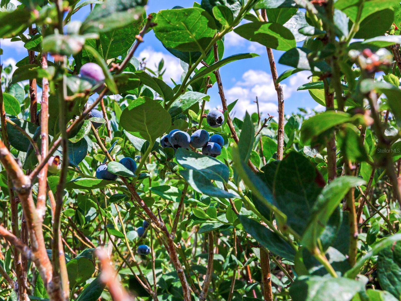 Image 36 of 76 For 3674 State Road 64