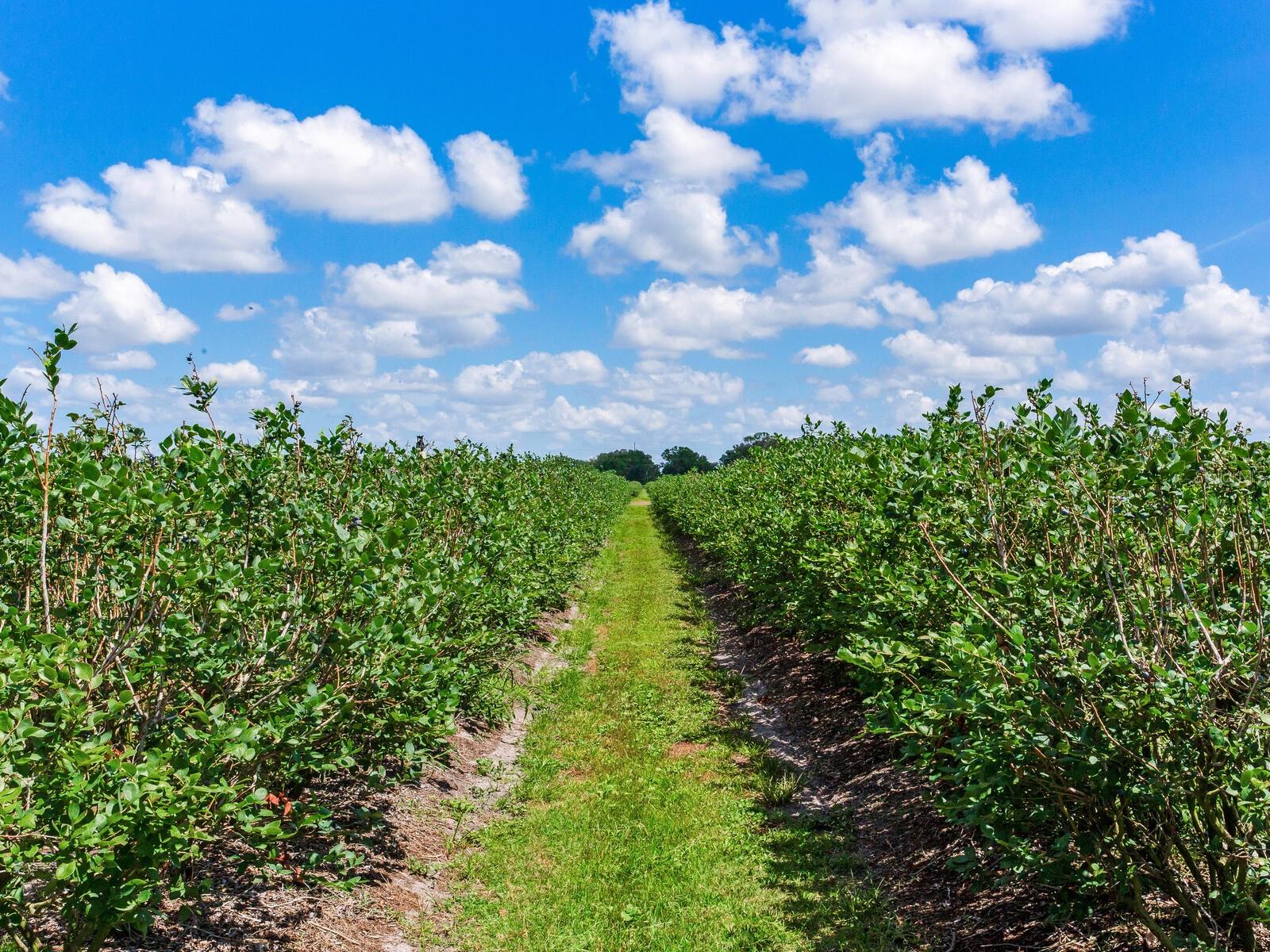 Image 37 of 76 For 3674 State Road 64