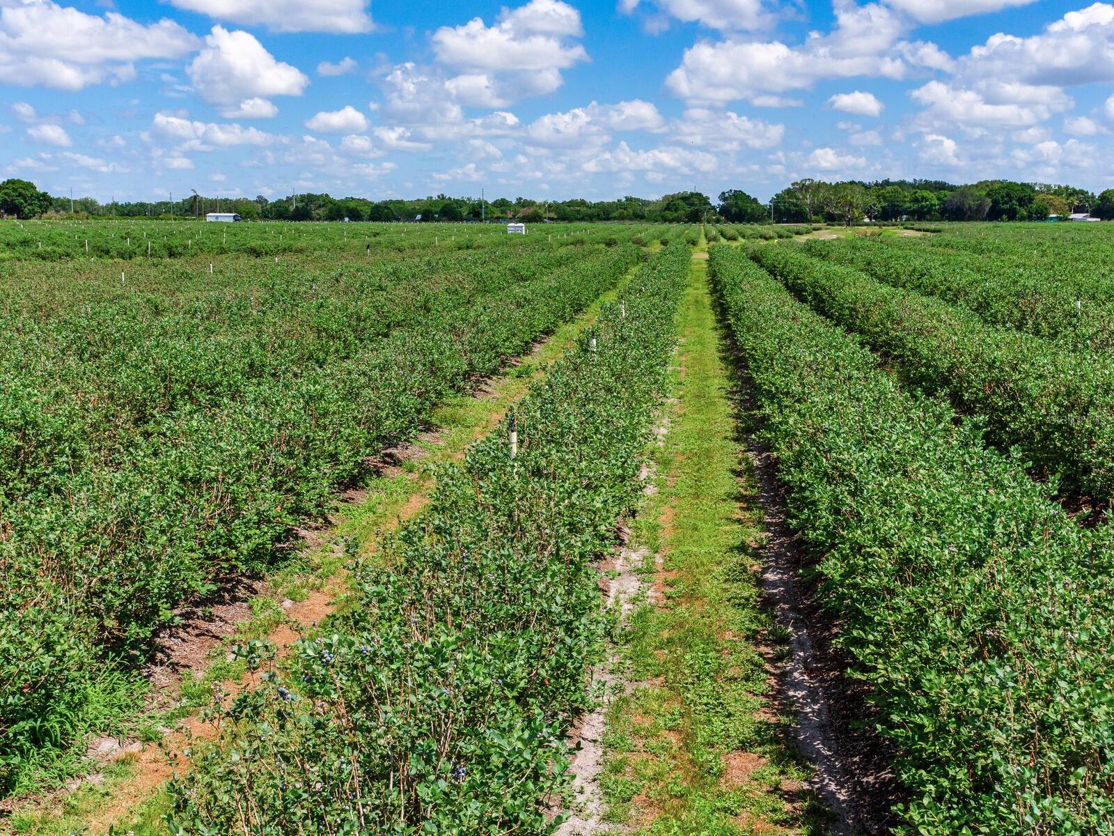 Image 38 of 76 For 3674 State Road 64