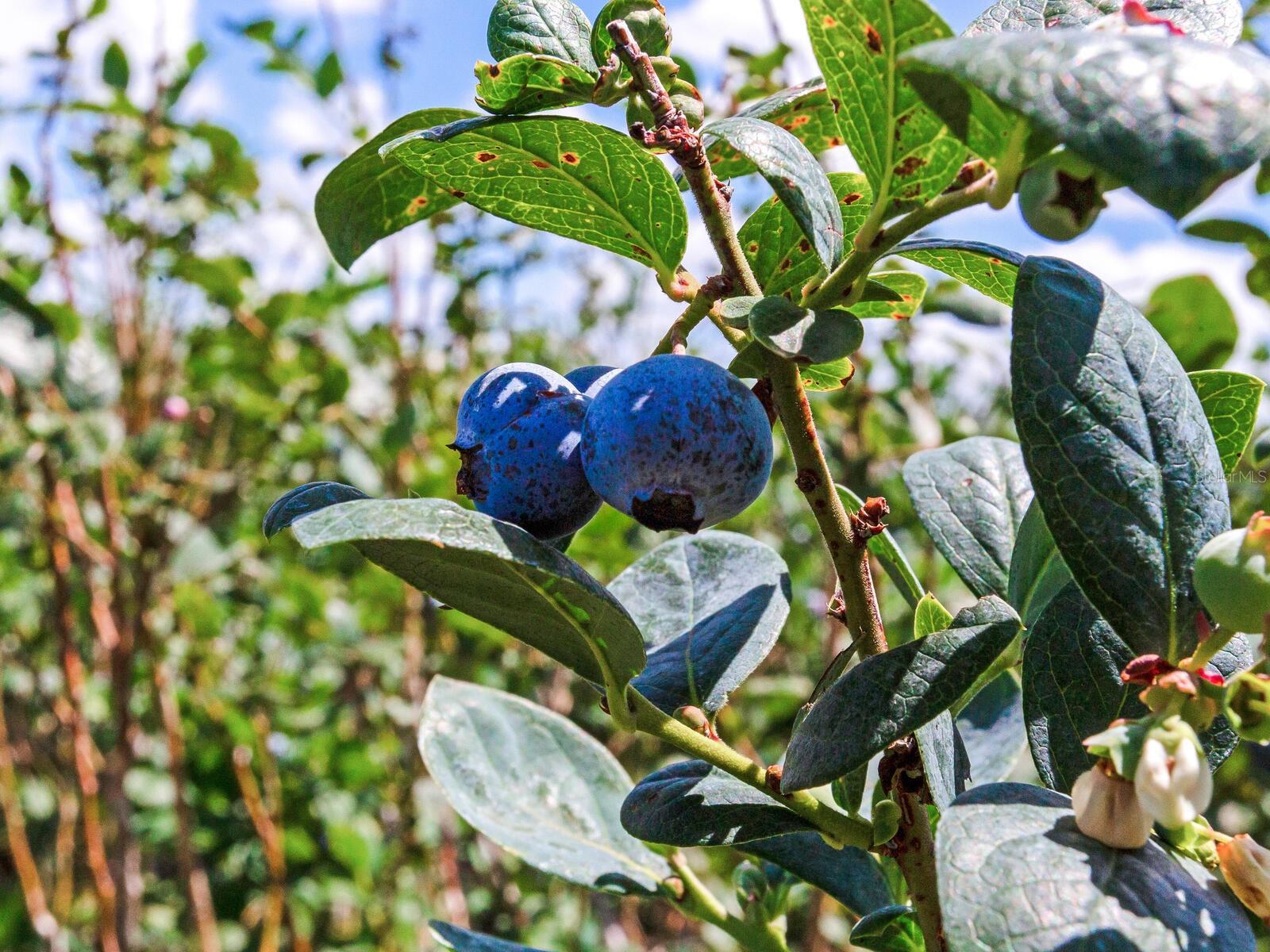 Image 39 of 76 For 3674 State Road 64