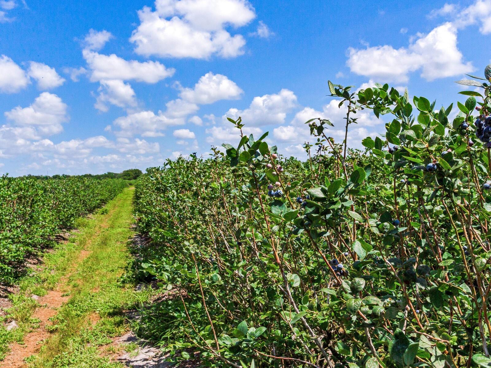 Image 40 of 76 For 3674 State Road 64