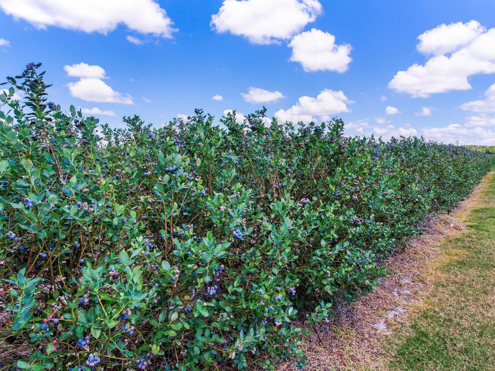 Image 42 of 76 For 3674 State Road 64