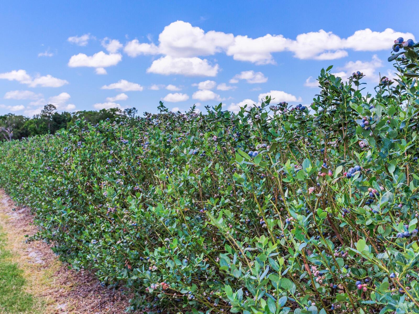 Image 43 of 76 For 3674 State Road 64