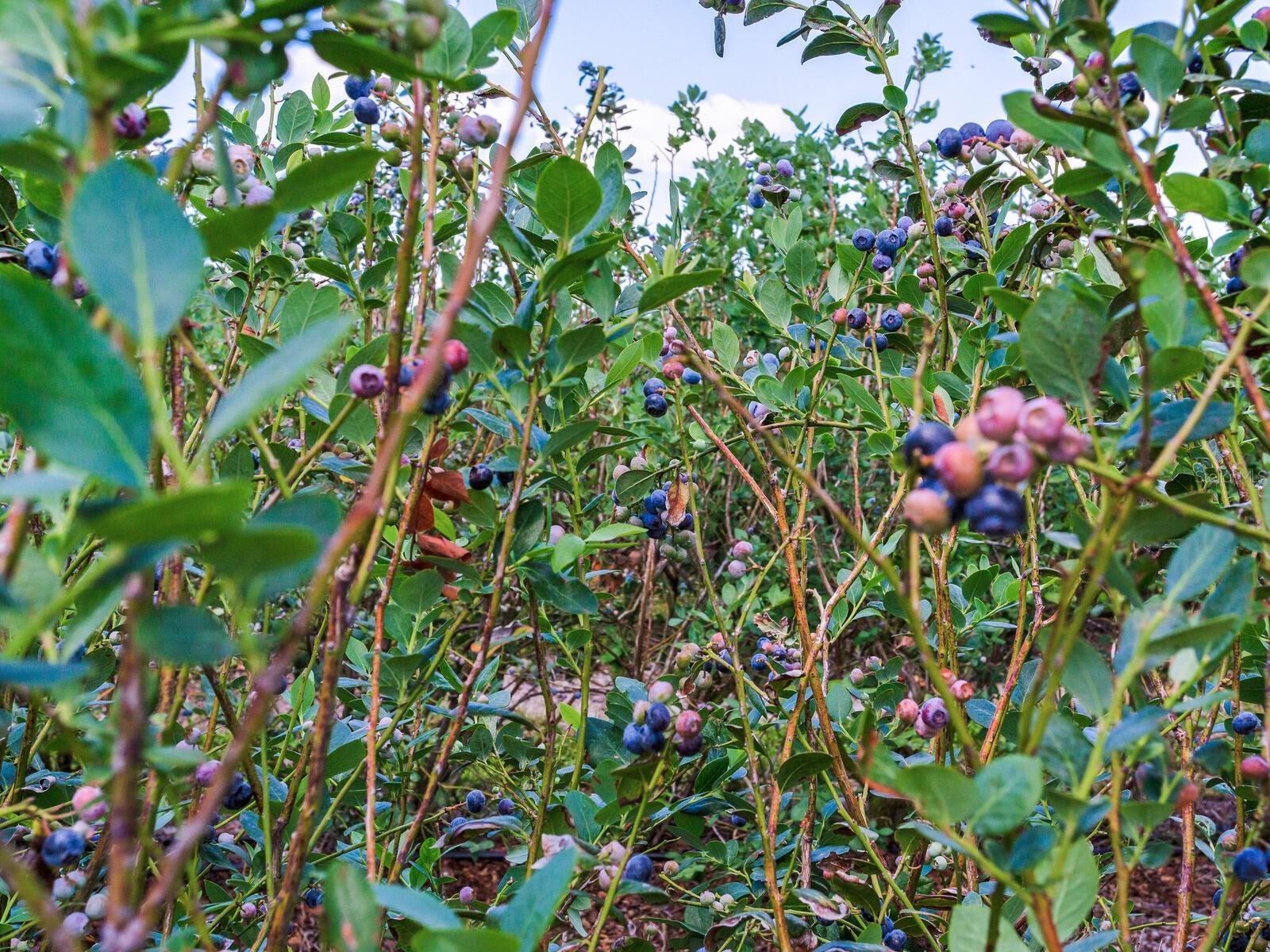 Image 44 of 76 For 3674 State Road 64