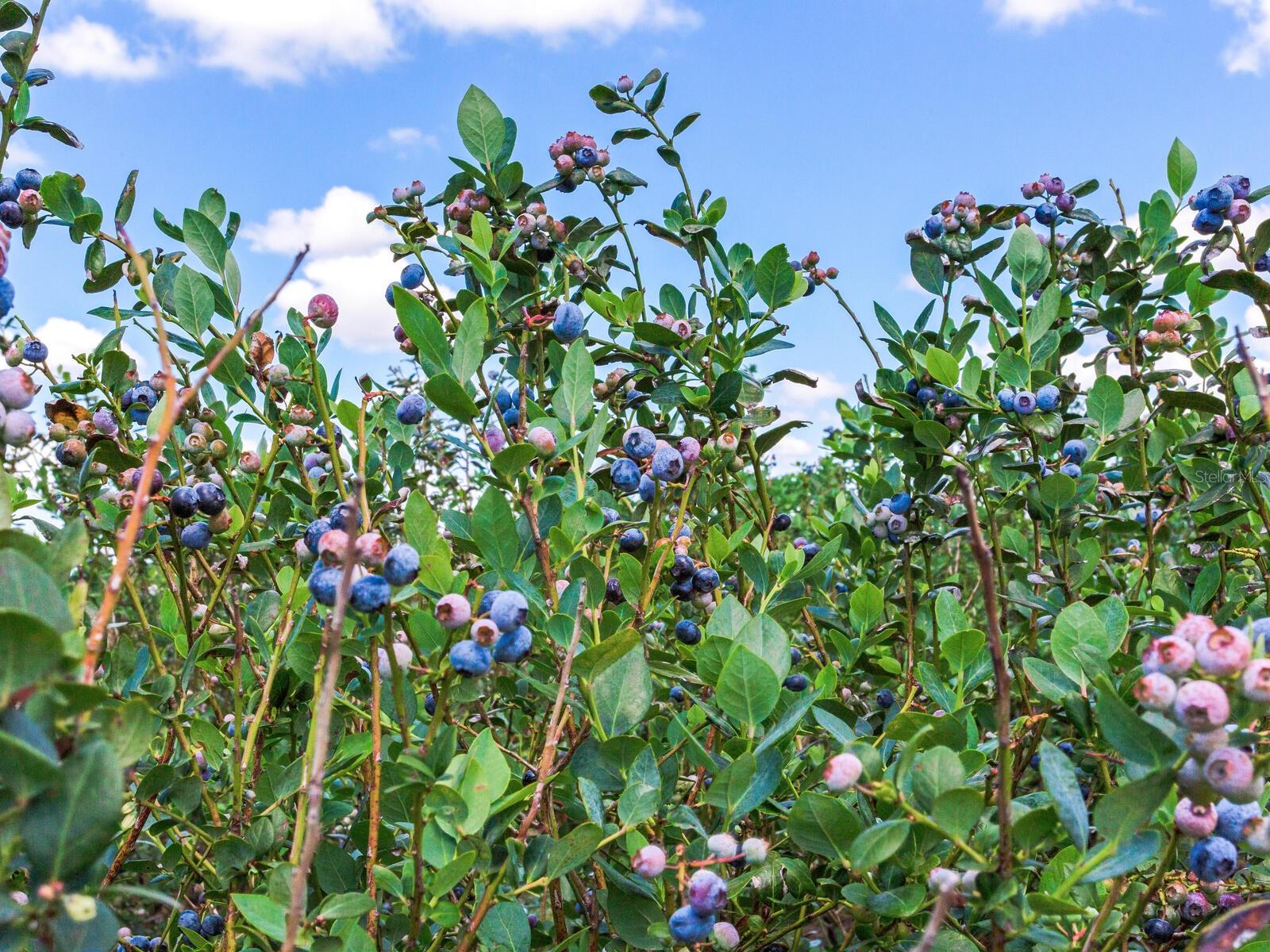 Image 45 of 76 For 3674 State Road 64