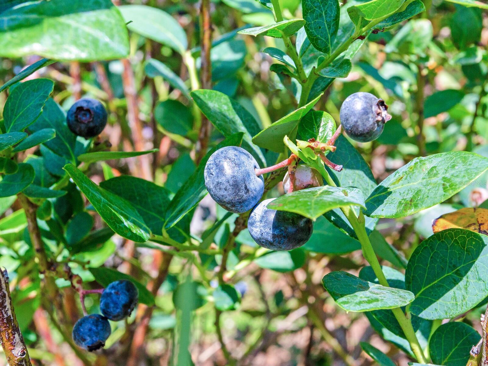 Image 46 of 76 For 3674 State Road 64