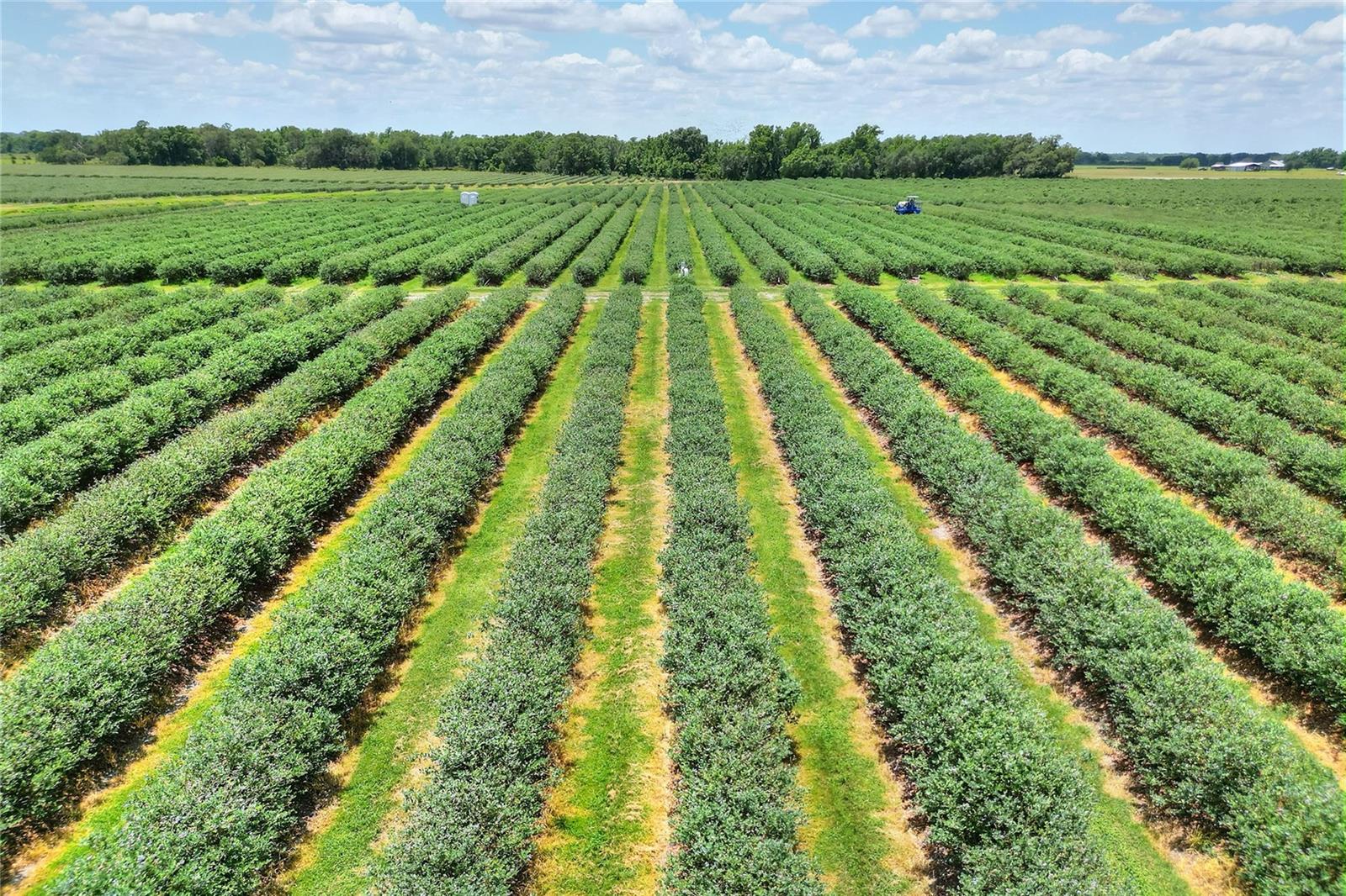 Image 5 of 76 For 3674 State Road 64