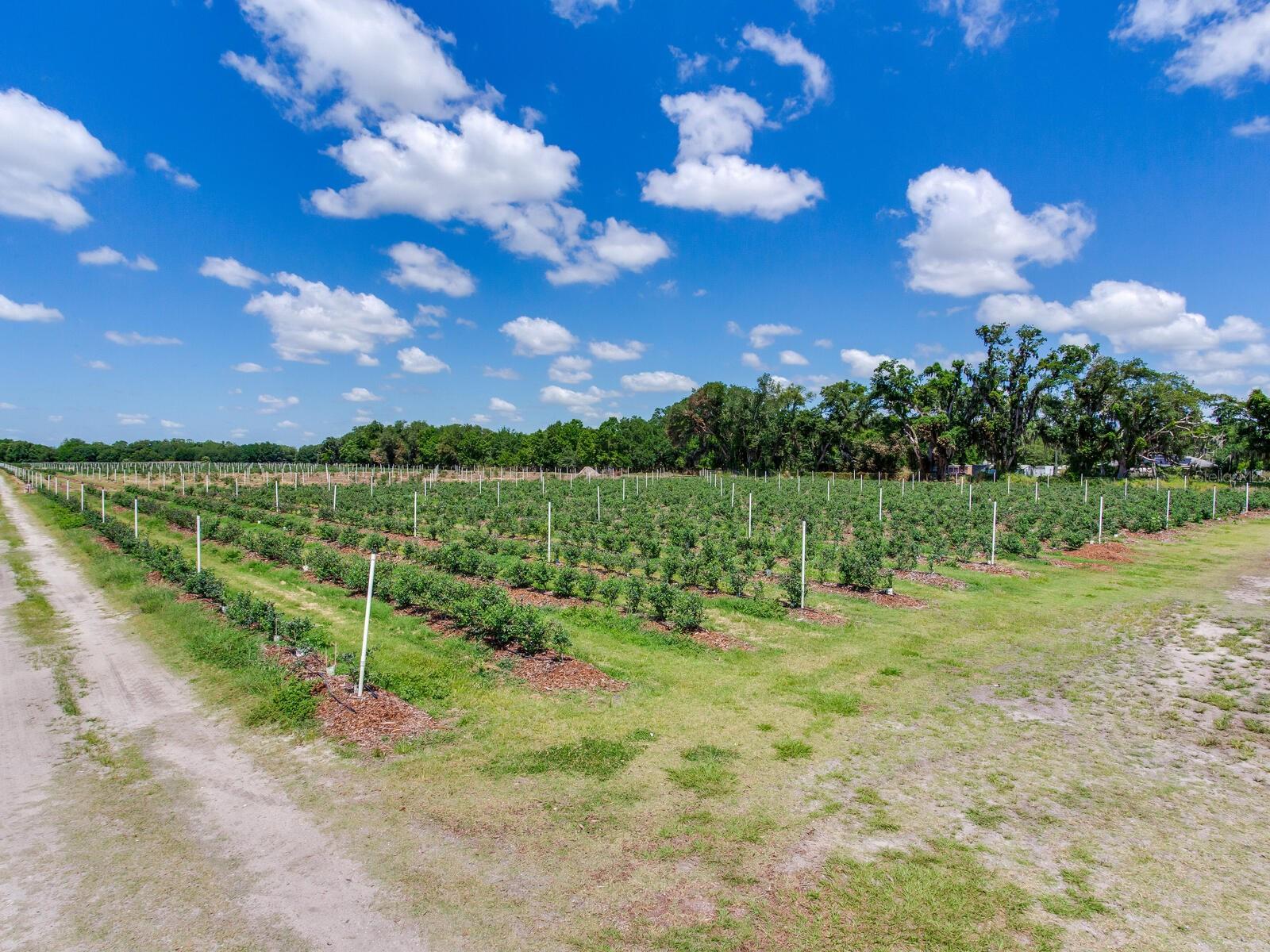 Image 52 of 76 For 3674 State Road 64