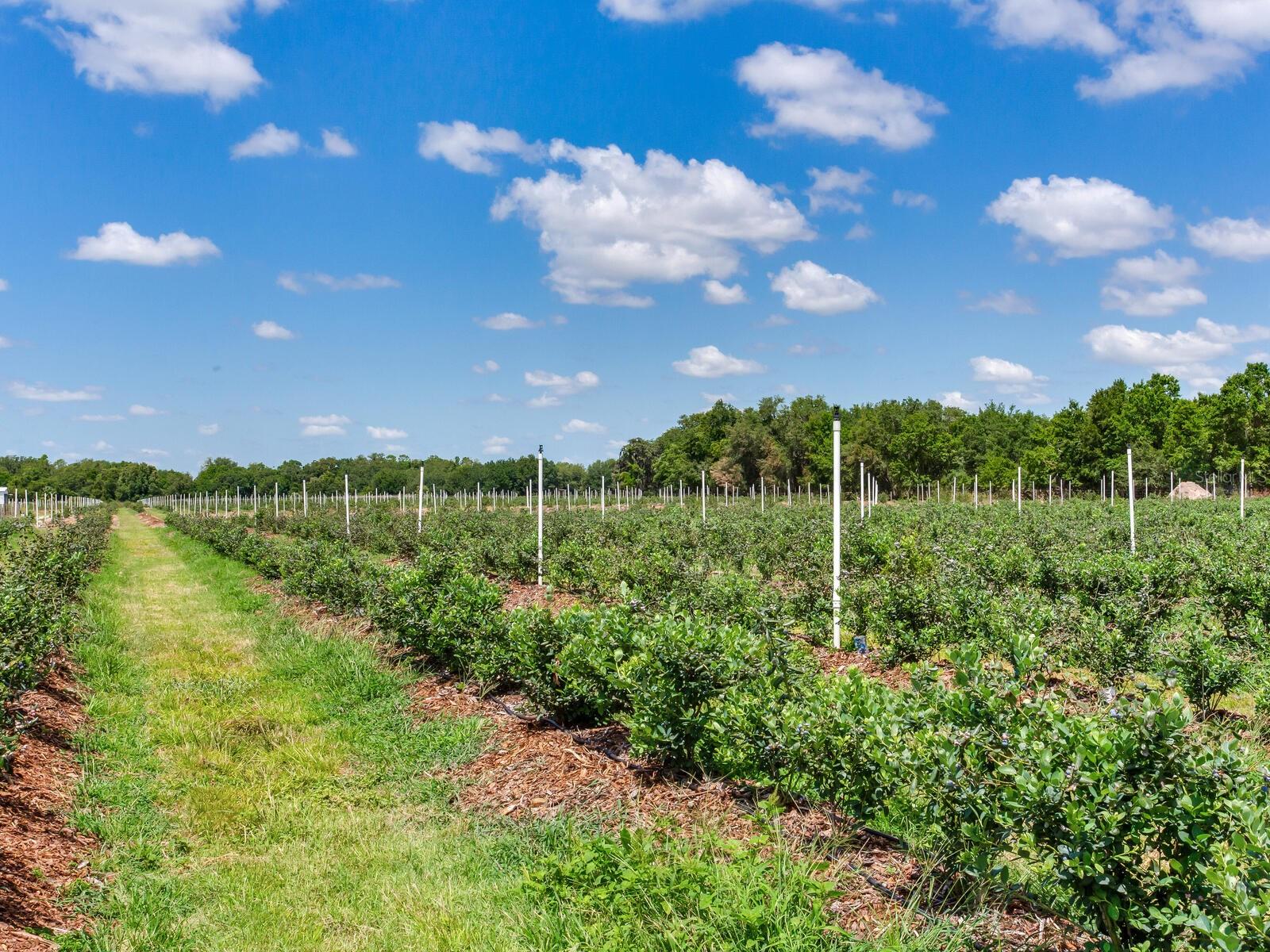 Image 53 of 76 For 3674 State Road 64