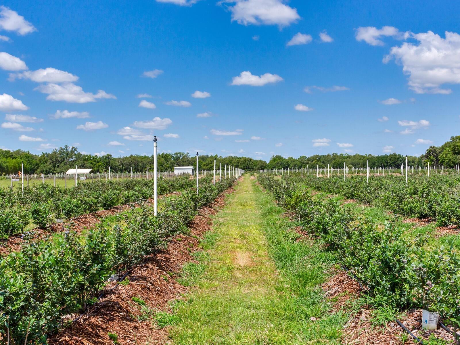 Image 54 of 76 For 3674 State Road 64