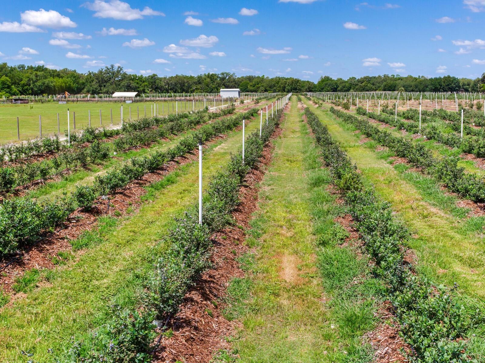 Image 55 of 76 For 3674 State Road 64