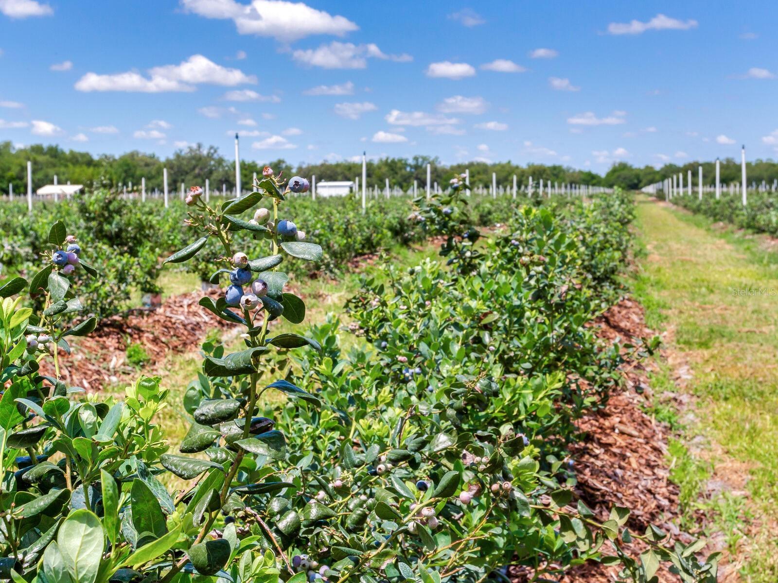 Image 56 of 76 For 3674 State Road 64