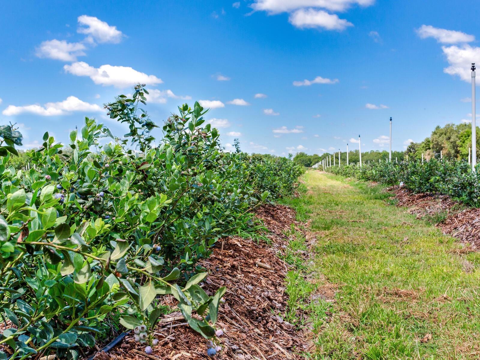 Image 57 of 76 For 3674 State Road 64