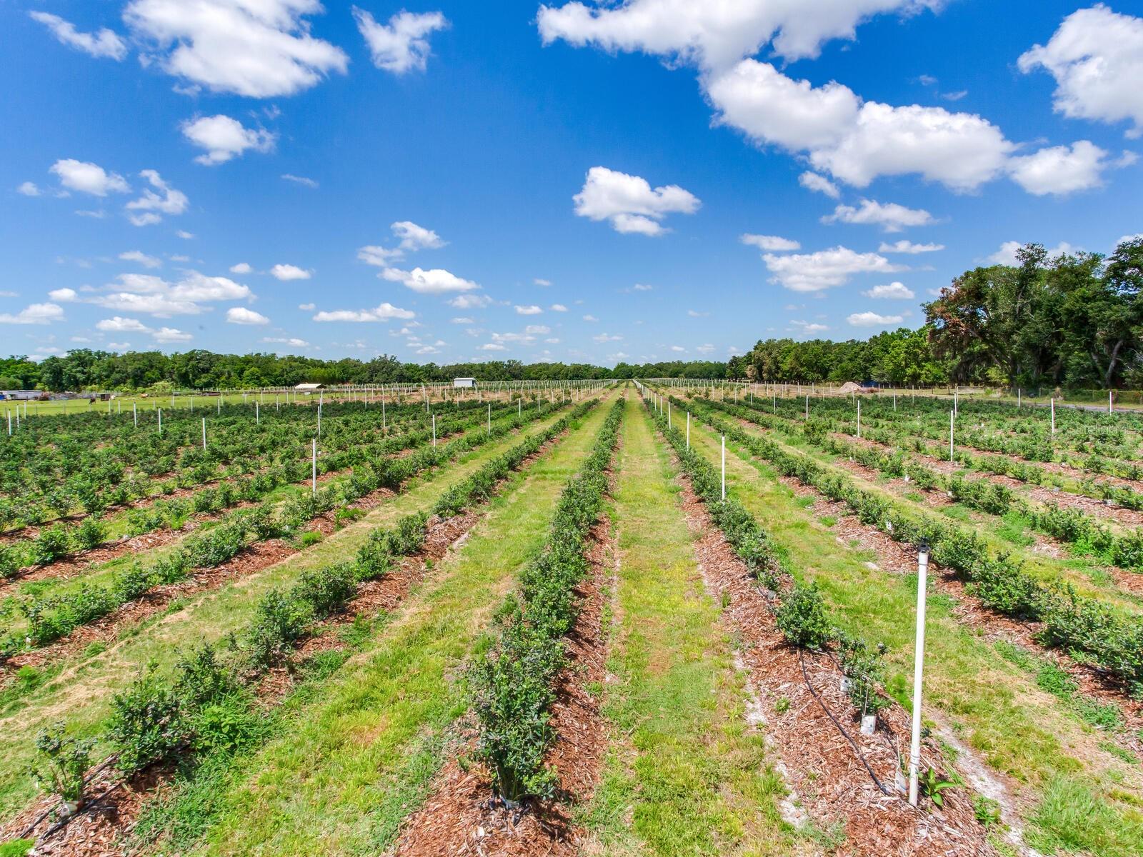 Image 58 of 76 For 3674 State Road 64