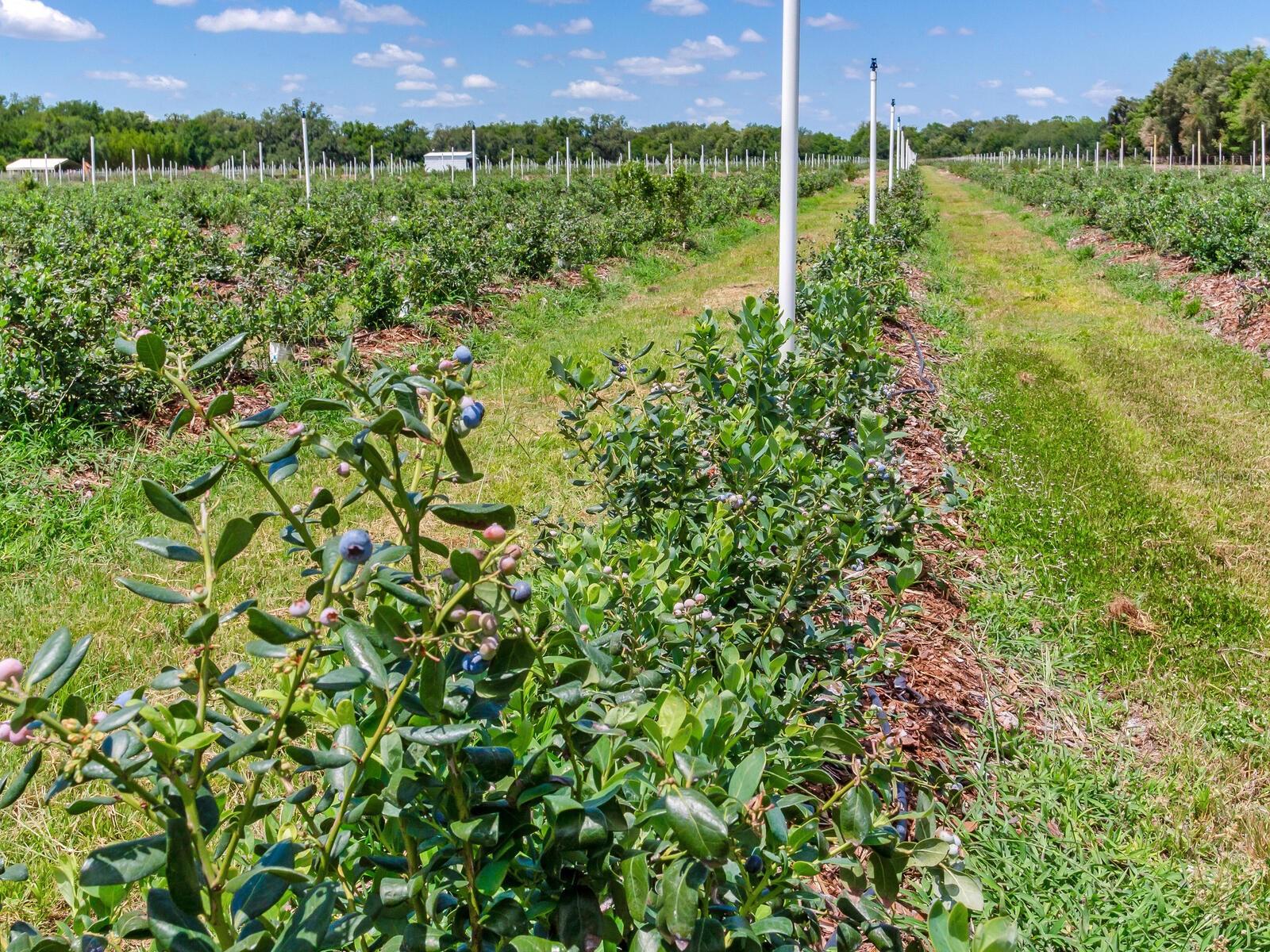 Image 59 of 76 For 3674 State Road 64