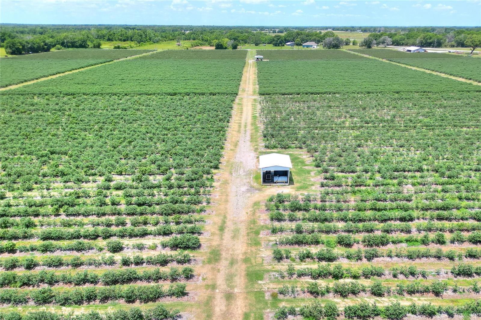 Image 6 of 76 For 3674 State Road 64