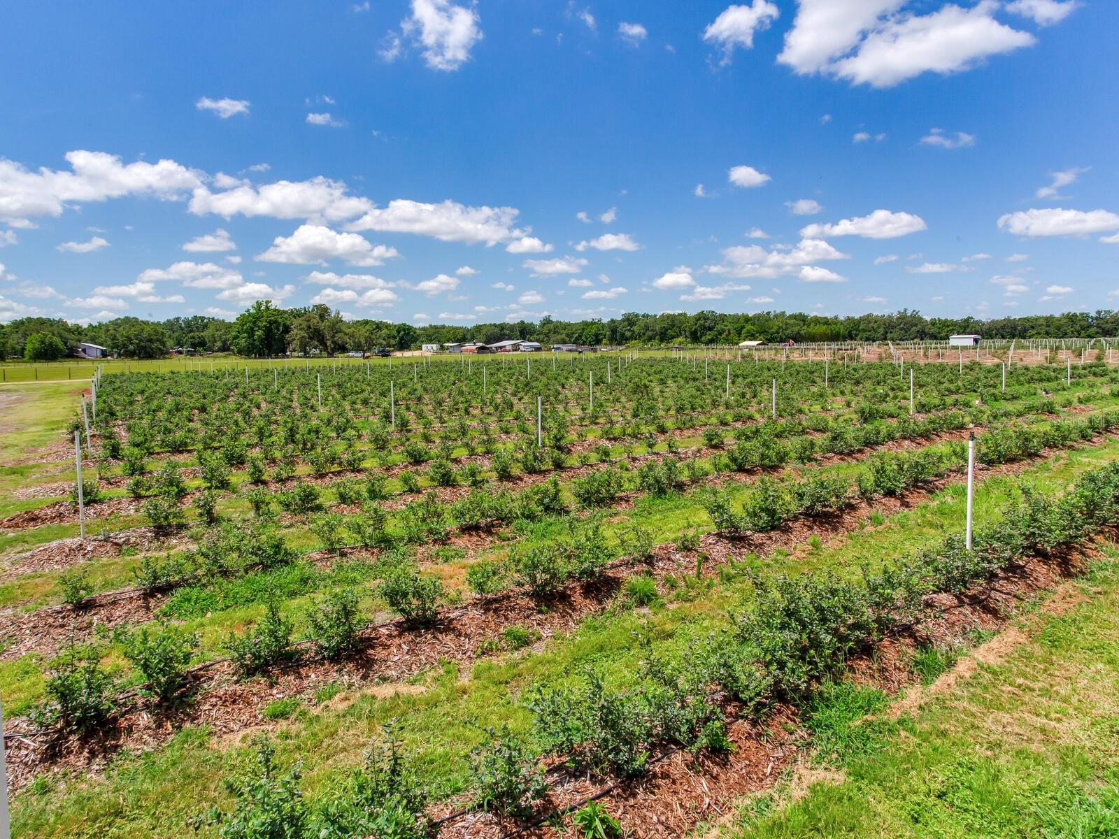 Image 60 of 76 For 3674 State Road 64