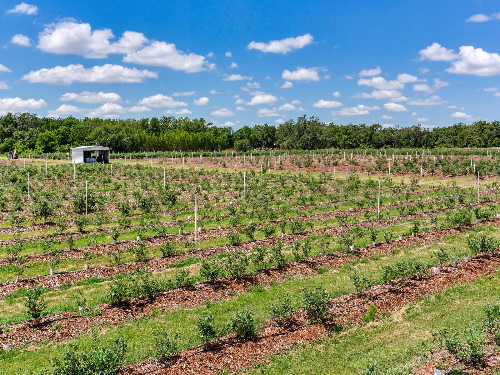 Image 61 of 76 For 3674 State Road 64