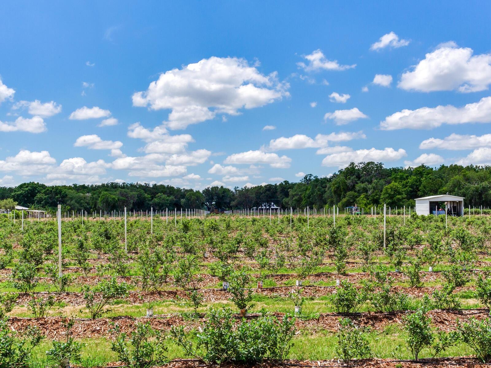 Image 62 of 76 For 3674 State Road 64